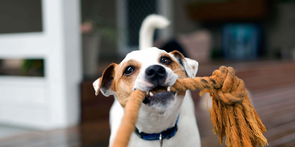 adobestock_199276953_1