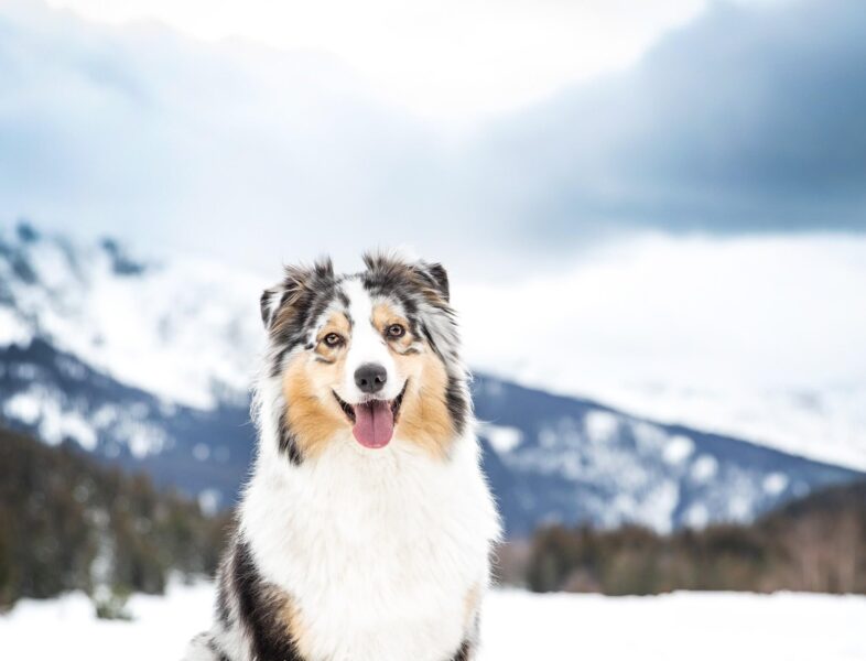 sb-content-hub-xifn5id0tqqli06vm4ni_v9a7422_2